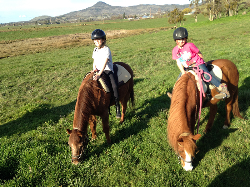 Trail ride with Valentine and Buster